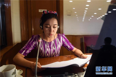 語言橋梁，共商國是——記為兩會服務的民族語文翻譯組